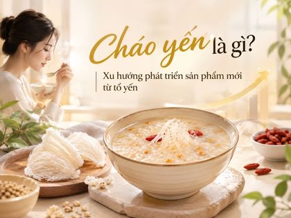 Cháo yến là gì? Xu hướng phát triển sản phẩm mới từ tổ yến